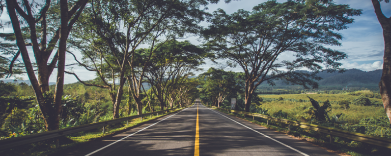 What I’ve learned from road trips